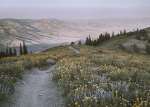 10 Essentials for Hiking in Northern Utah