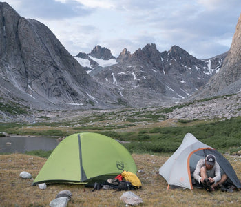 Simba Tested - Nemo Hornet