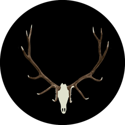 NOSO Patch - Buck – GEAR:30