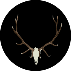 NOSO Patch - Buck